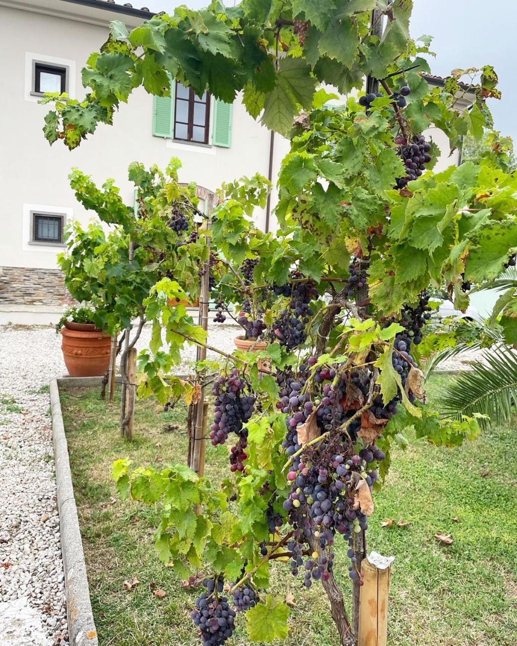 'il Casale Di Giova' Tuscan